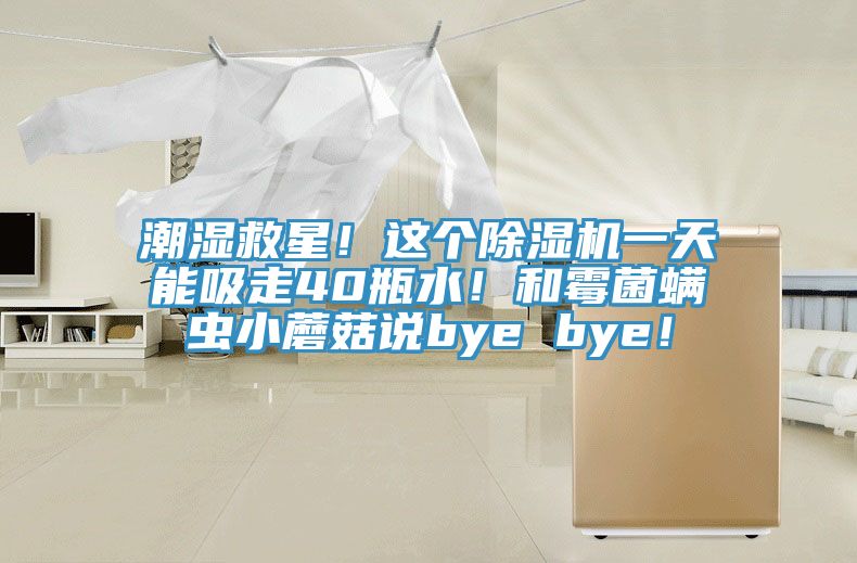 潮濕救星！這個(gè)除濕機一天能吸走40瓶水！和霉菌螨蟲(chóng)小蘑菇說(shuō)bye bye！