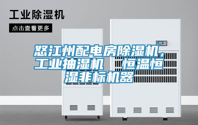 怒江州配電房除濕機，工業(yè)抽濕機  恒溫恒濕非標機器