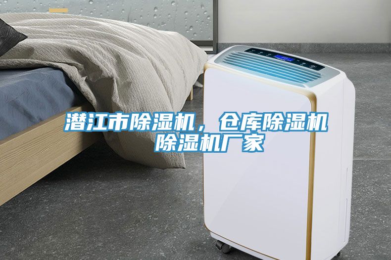 潛江市除濕機，倉庫除濕機  除濕機廠(chǎng)家