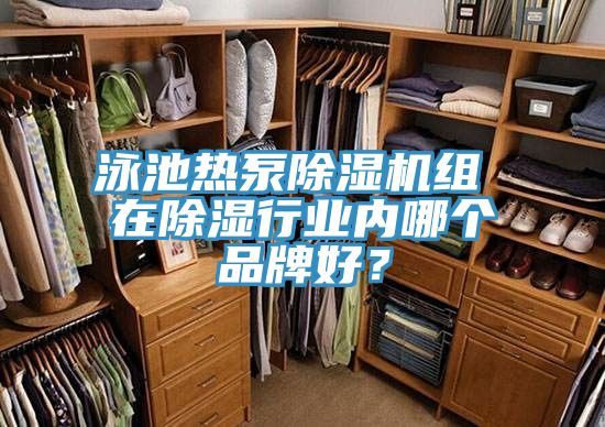 泳池熱泵除濕機組 在除濕行業(yè)內哪個(gè)品牌好？