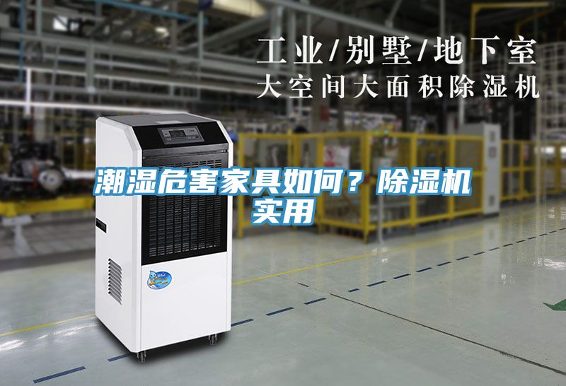 潮濕危害家具如何？除濕機實(shí)用