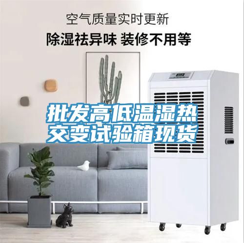 批發(fā)高低溫濕熱交變試驗箱現貨