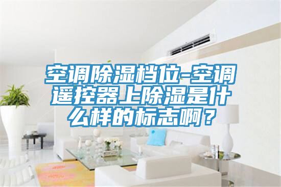 空調除濕檔位-空調遙控器上除濕是什么樣的標志??？
