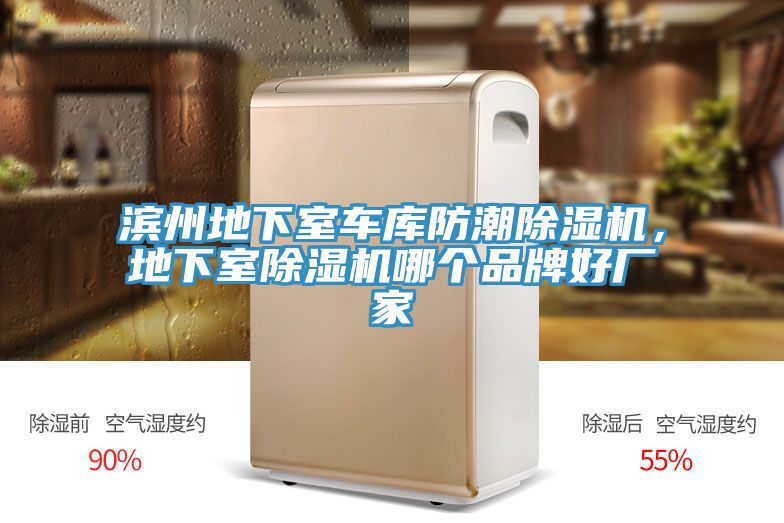 濱州地下室車(chē)庫防潮除濕機，地下室除濕機哪個(gè)品牌好廠(chǎng)家