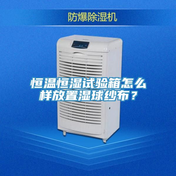恒溫恒濕試驗箱怎么樣放置濕球紗布？