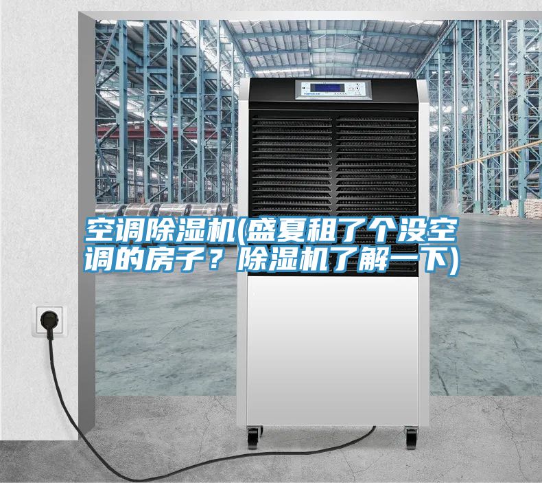 空調除濕機(盛夏租了個(gè)沒(méi)空調的房子？除濕機了解一下)