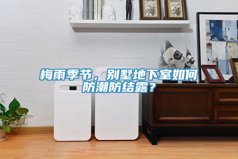 梅雨季節，別墅地下室如何防潮防結露？