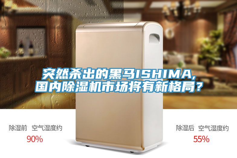 突然殺出的黑馬ISHIMA,國內除濕機市場(chǎng)將有新格局？