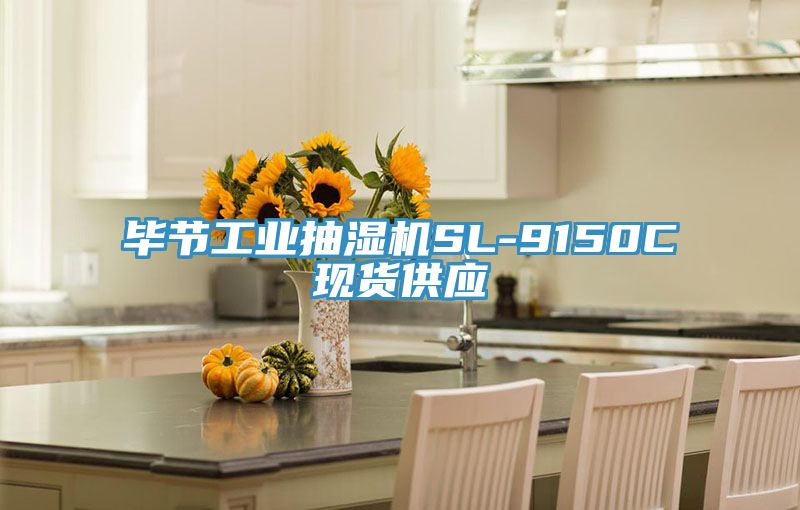 畢節工業(yè)抽濕機SL-9150C現貨供應