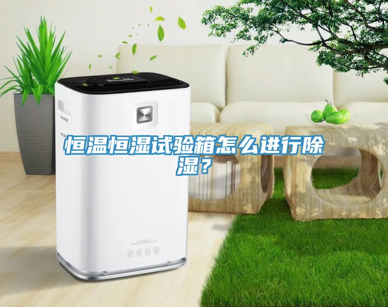 恒溫恒濕試驗箱怎么進(jìn)行除濕？