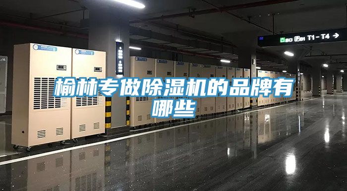榆林專(zhuān)做除濕機的品牌有哪些