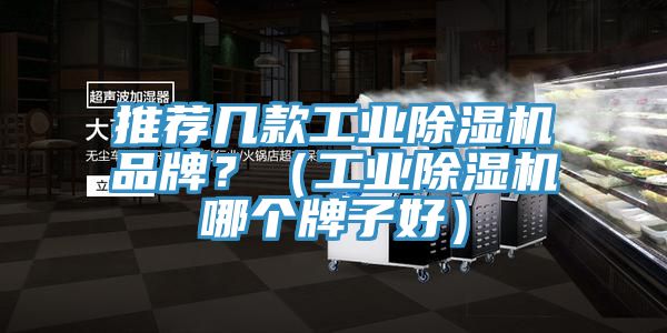推薦幾款工業(yè)除濕機品牌？（工業(yè)除濕機哪個(gè)牌子好）