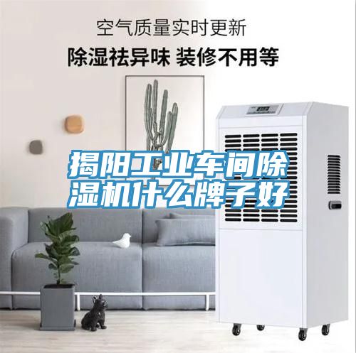 揭陽(yáng)工業(yè)車(chē)間除濕機什么牌子好