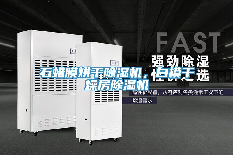 石蠟膜烘干除濕機，白模干燥房除濕機