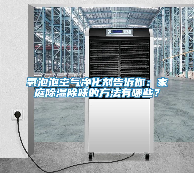 氧泡泡空氣凈化劑告訴你：家庭除濕除味的方法有哪些？