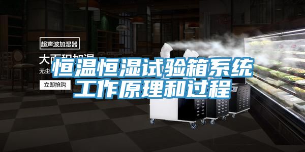 恒溫恒濕試驗箱系統工作原理和過(guò)程