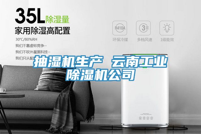 抽濕機生產(chǎn) 云南工業(yè)除濕機公司