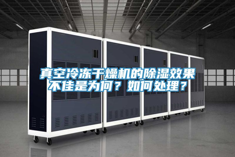 真空冷凍干燥機的除濕效果不佳是為何？如何處理？