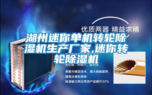 湖州迷你單機轉輪除濕機生產(chǎn)廠(chǎng)家,迷你轉輪除濕機