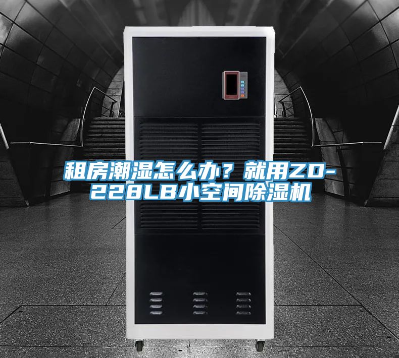 租房潮濕怎么辦？就用ZD-228LB小空間除濕機