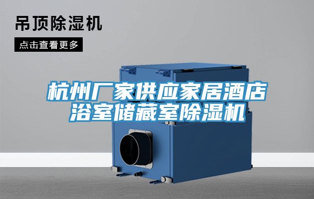 杭州廠(chǎng)家供應家居酒店浴室儲藏室除濕機