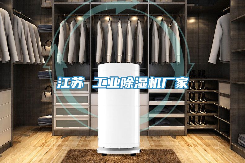江蘇 工業(yè)除濕機廠(chǎng)家