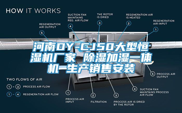 河南DY-CJ50大型恒濕機廠(chǎng)家 除濕加濕一體機 生產(chǎn)銷(xiāo)售安裝