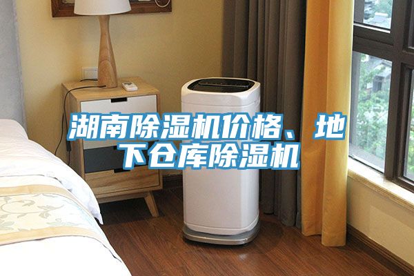 湖南除濕機價(jià)格、地下倉庫除濕機