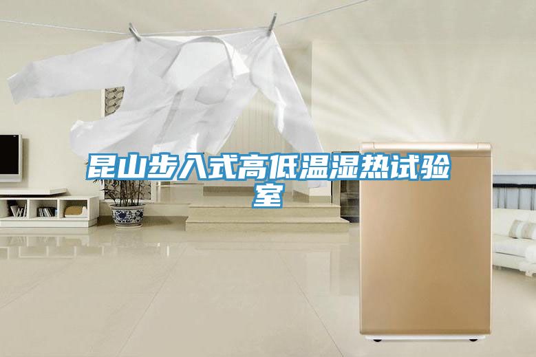 昆山步入式高低溫濕熱試驗室