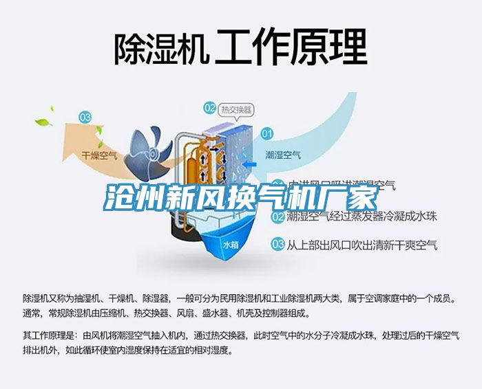 滄州新風(fēng)換氣機廠(chǎng)家