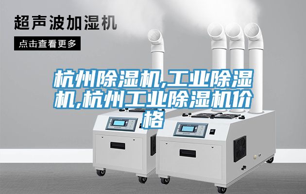 杭州除濕機,工業(yè)除濕機,杭州工業(yè)除濕機價(jià)格