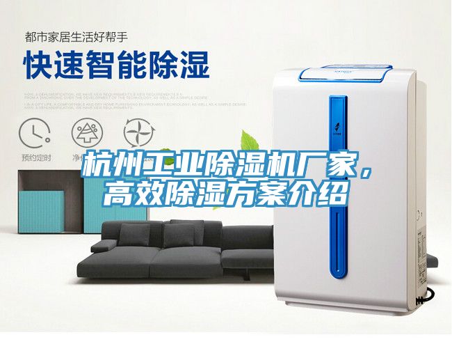 杭州工業(yè)除濕機廠(chǎng)家，高效除濕方案介紹