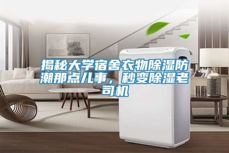 揭秘大學(xué)宿舍衣物除濕防潮那點(diǎn)兒事，秒變除濕老司機