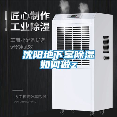 沈陽(yáng)地下室除濕如何做z