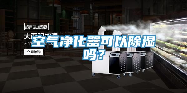 空氣凈化器可以除濕嗎？