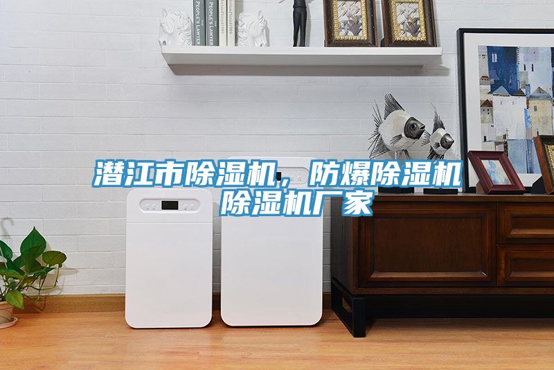 潛江市除濕機，防爆除濕機  除濕機廠(chǎng)家