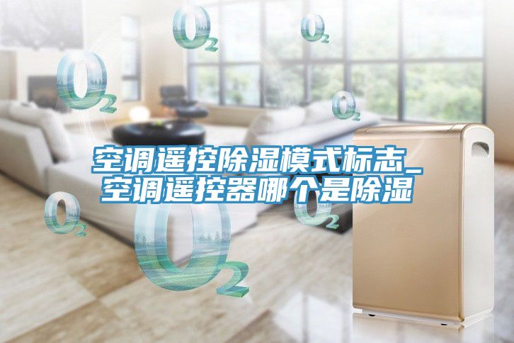 空調遙控除濕模式標志_空調遙控器哪個(gè)是除濕