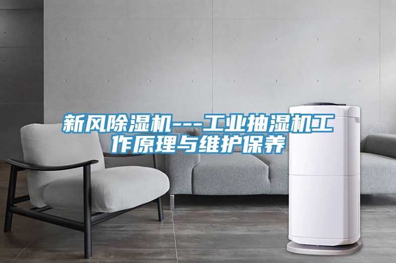 新風(fēng)除濕機---工業(yè)抽濕機工作原理與維護保養