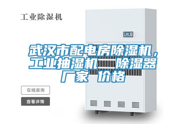 武漢市配電房除濕機，工業(yè)抽濕機  除濕器廠(chǎng)家 價(jià)格