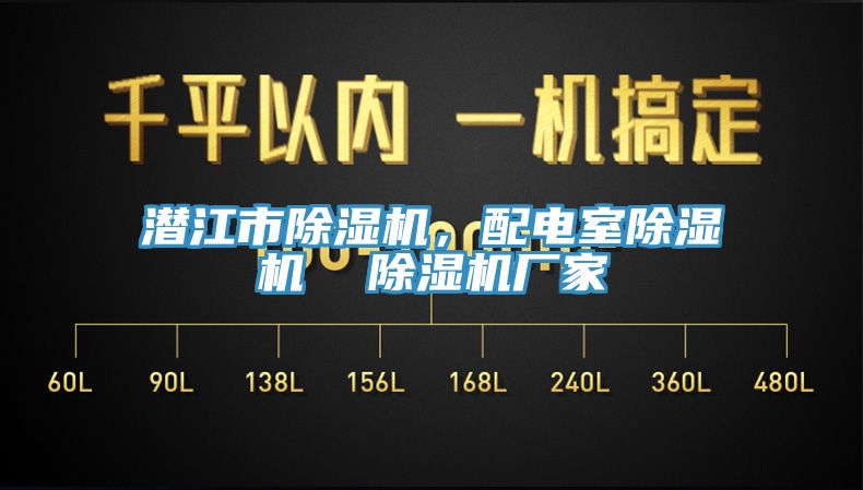 潛江市除濕機，配電室除濕機  除濕機廠(chǎng)家