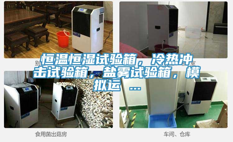 恒溫恒濕試驗箱，冷熱沖擊試驗箱，鹽霧試驗箱，模擬運 ...