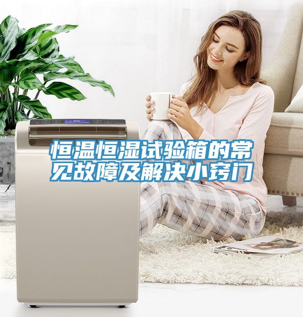 恒溫恒濕試驗箱的常見(jiàn)故障及解決小竅門(mén)
