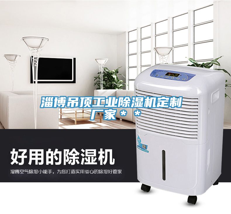 淄博吊頂工業(yè)除濕機定制 廠(chǎng)家＊＊