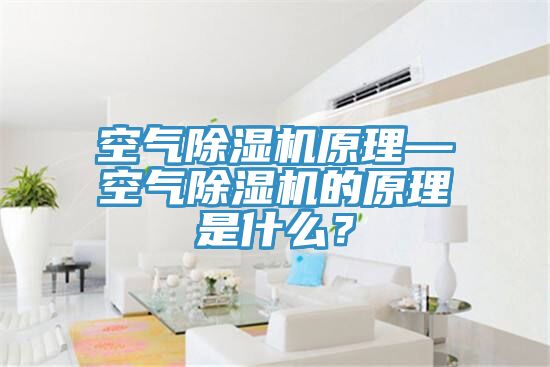空氣除濕機原理—空氣除濕機的原理是什么？