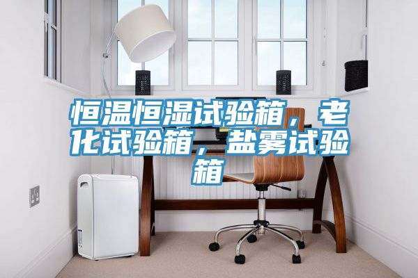 恒溫恒濕試驗箱，老化試驗箱，鹽霧試驗箱