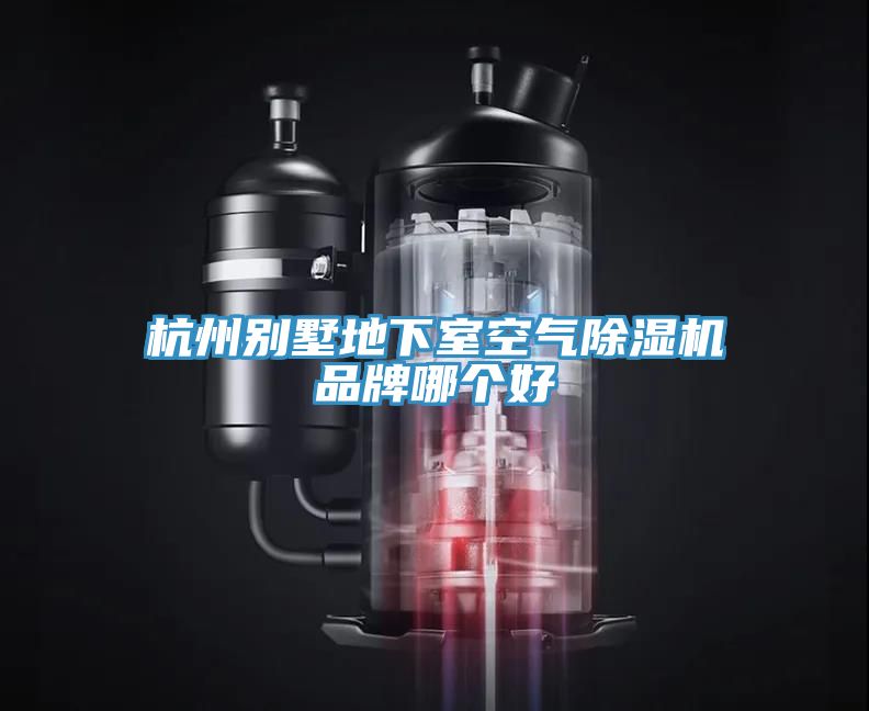 杭州別墅地下室空氣除濕機品牌哪個(gè)好