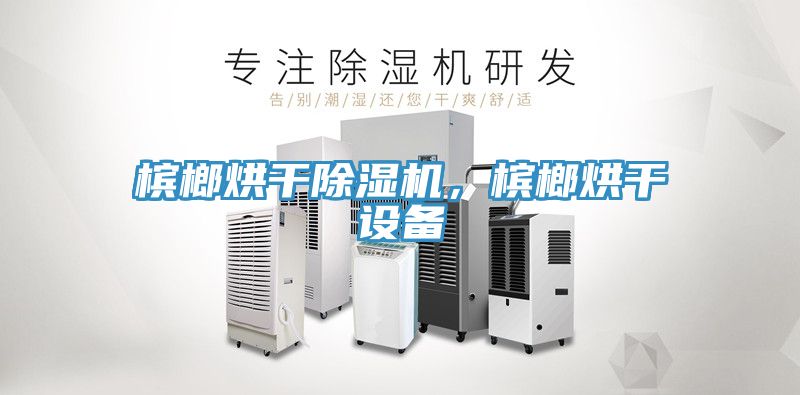 檳榔烘干除濕機，檳榔烘干設備