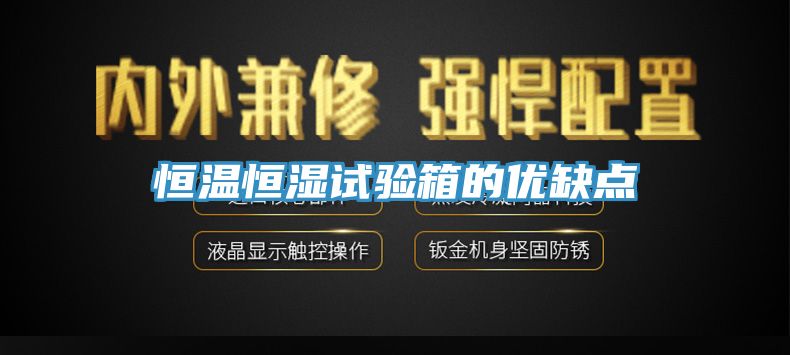 恒溫恒濕試驗箱的優(yōu)缺點(diǎn)