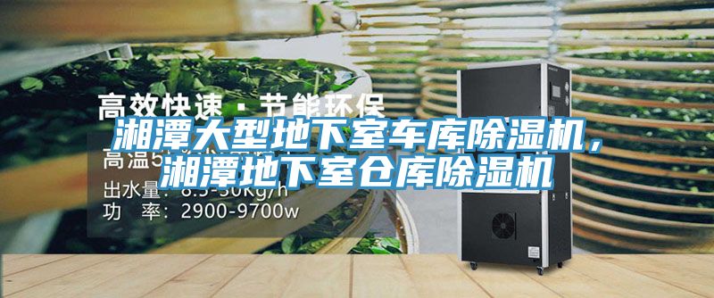 湘潭大型地下室車(chē)庫除濕機，湘潭地下室倉庫除濕機
