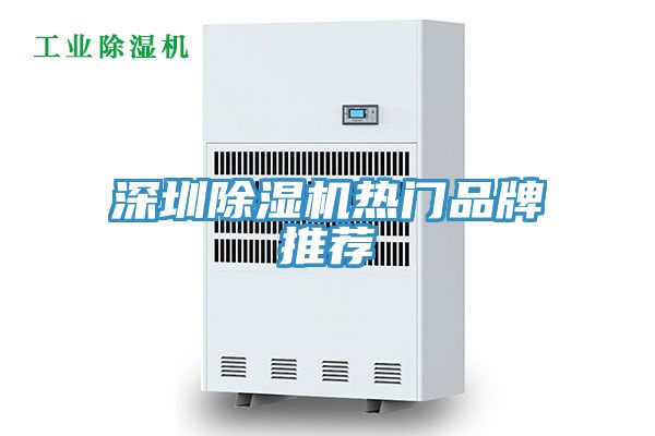深圳除濕機熱門(mén)品牌推薦
